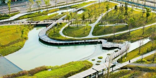 台北市南港新新公園