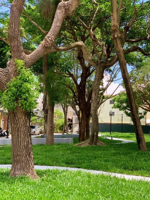 新竹市民族公園